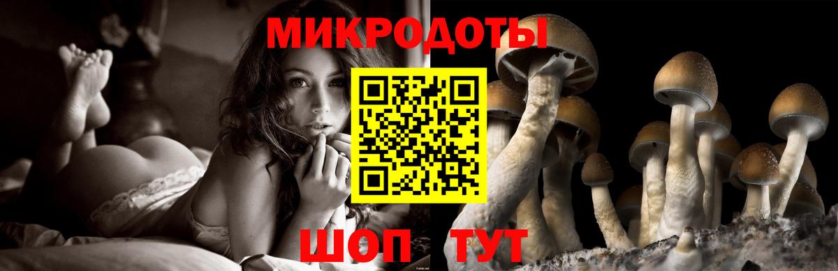 Псилоцибиновые грибы Cubensis Черкесск